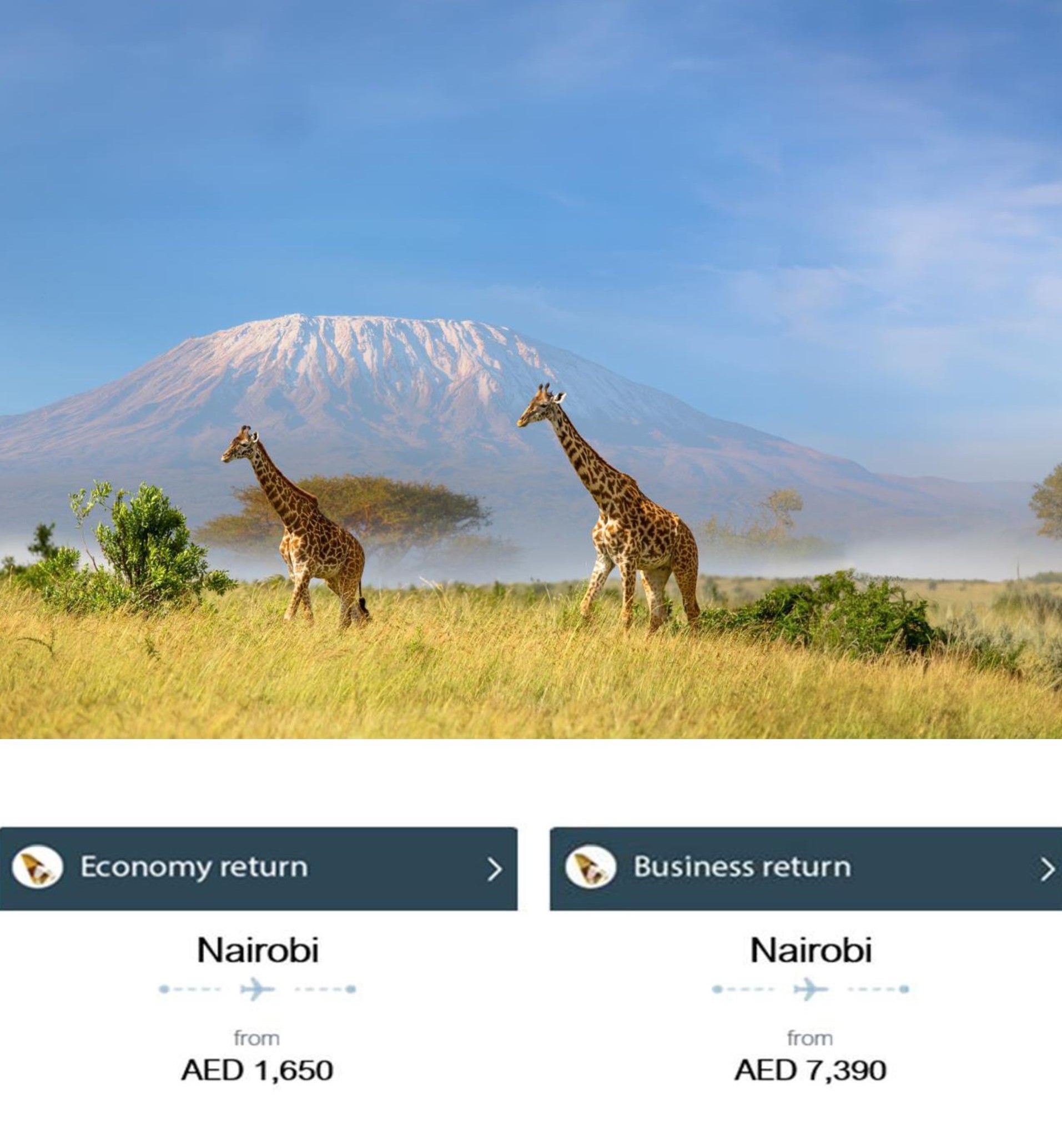 Etihad Airways